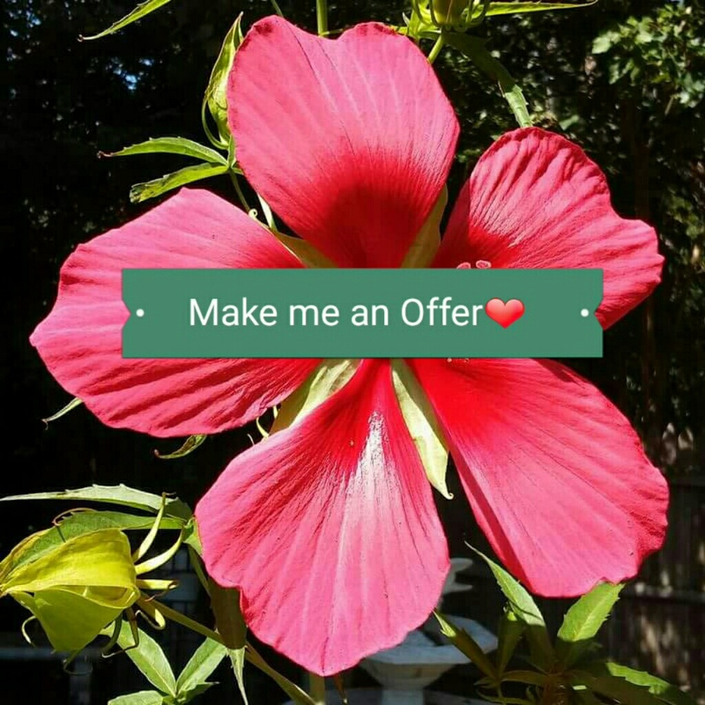 Make me a Reasonable Offer!